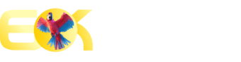 Rede canal filmes e série - Zero1bet
